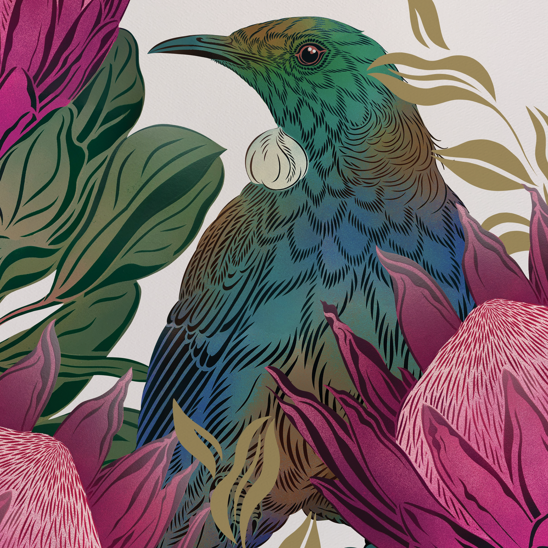 Antipodes Tūī & King Protea Boutique Print