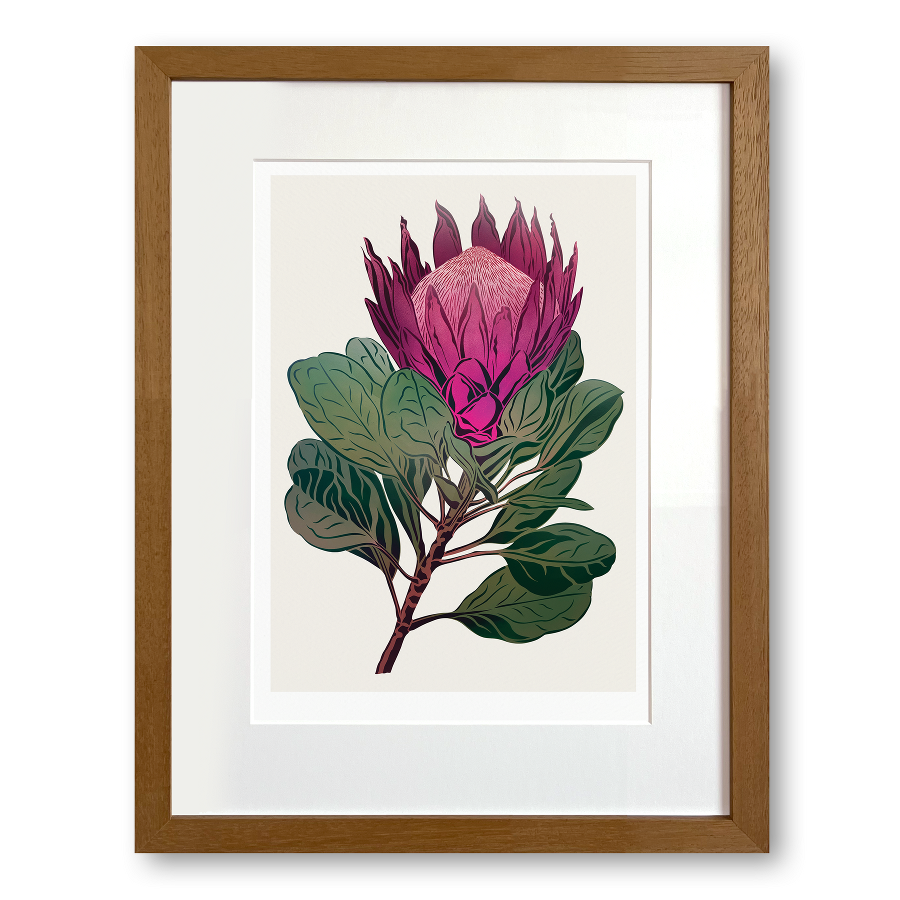 King Protea Antipodes Botanical – A Timed Release