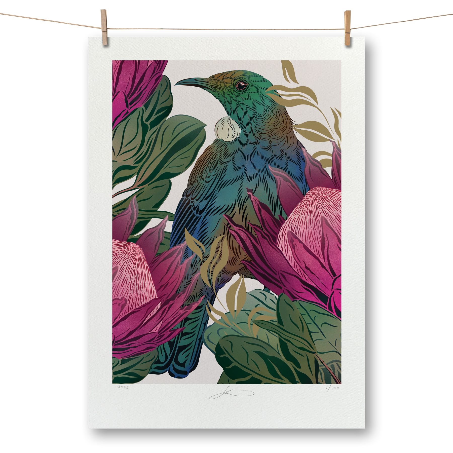 Antipodes Tūī & King Protea Boutique Print