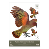 Kea Decal