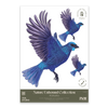 Kōkako Decal