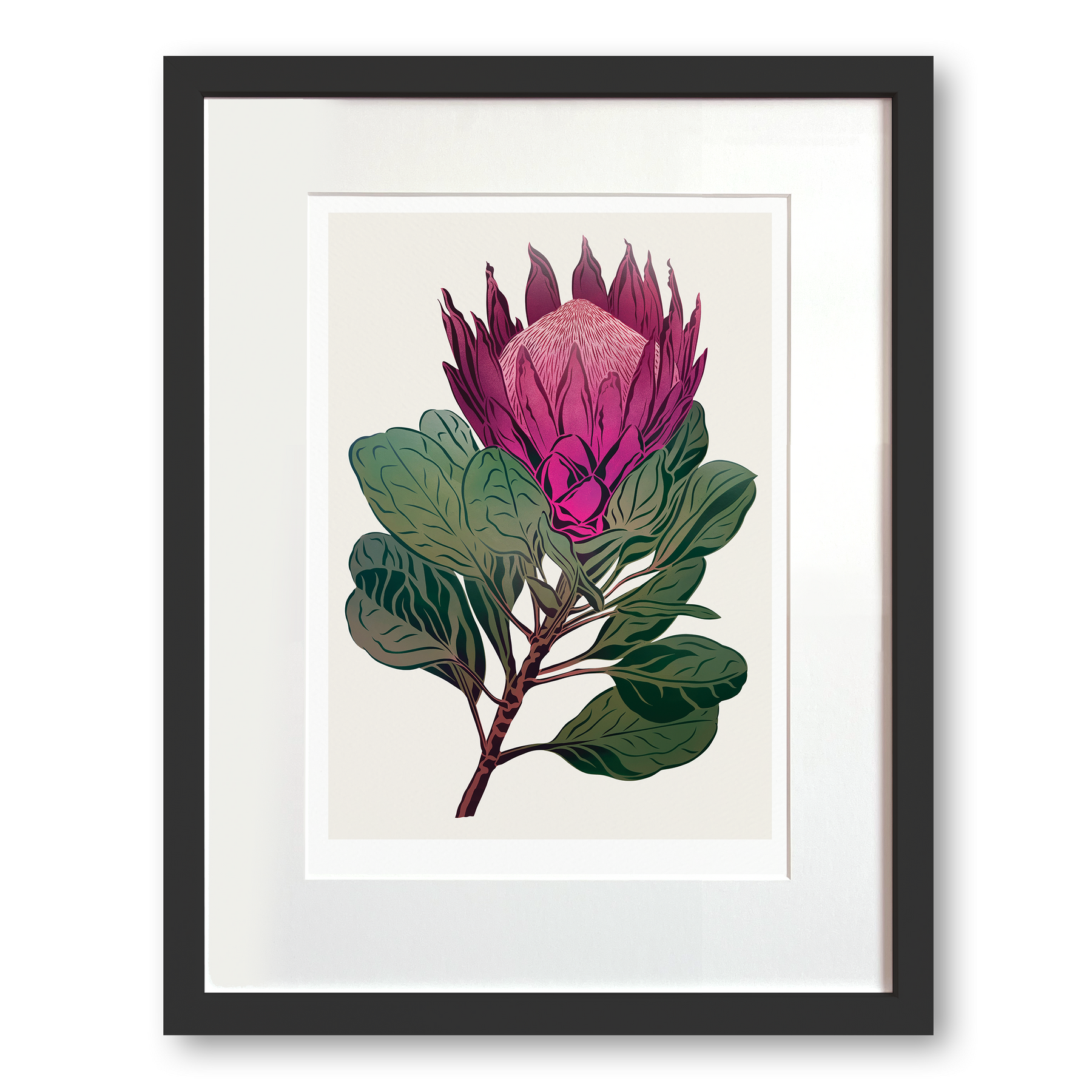 King Protea Antipodes Botanical – A Timed Release