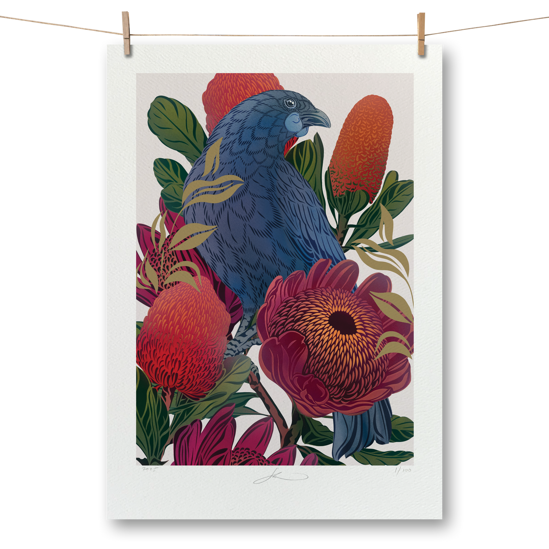 Antipodes Kōkako & Banksia Boutique Print
