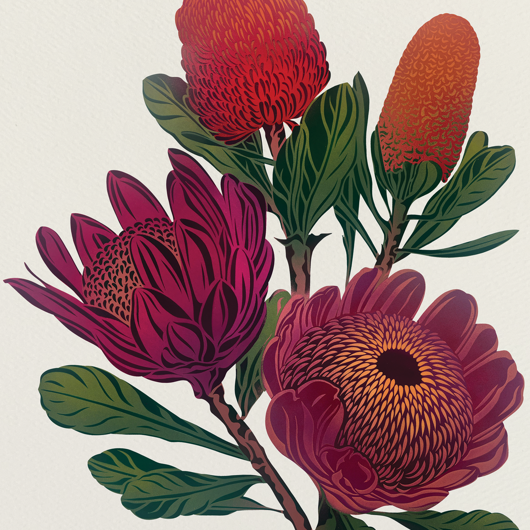 Banksia Antipodes Botanical – A Timed Release