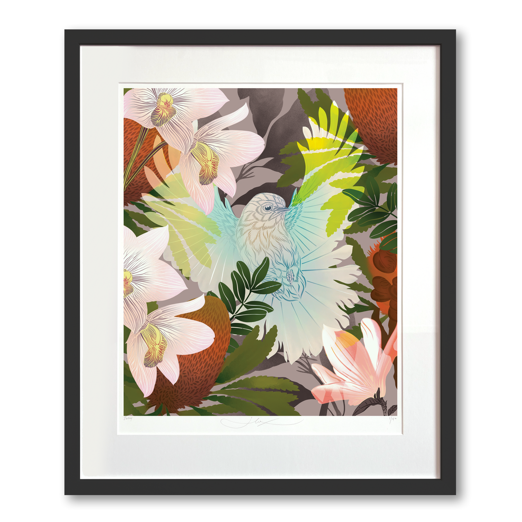 White Fantail & Banksia Premium Digital