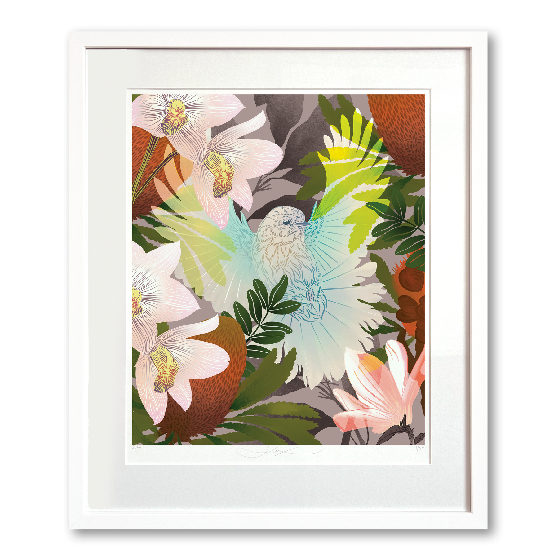 White Fantail & Banksia Premium Digital