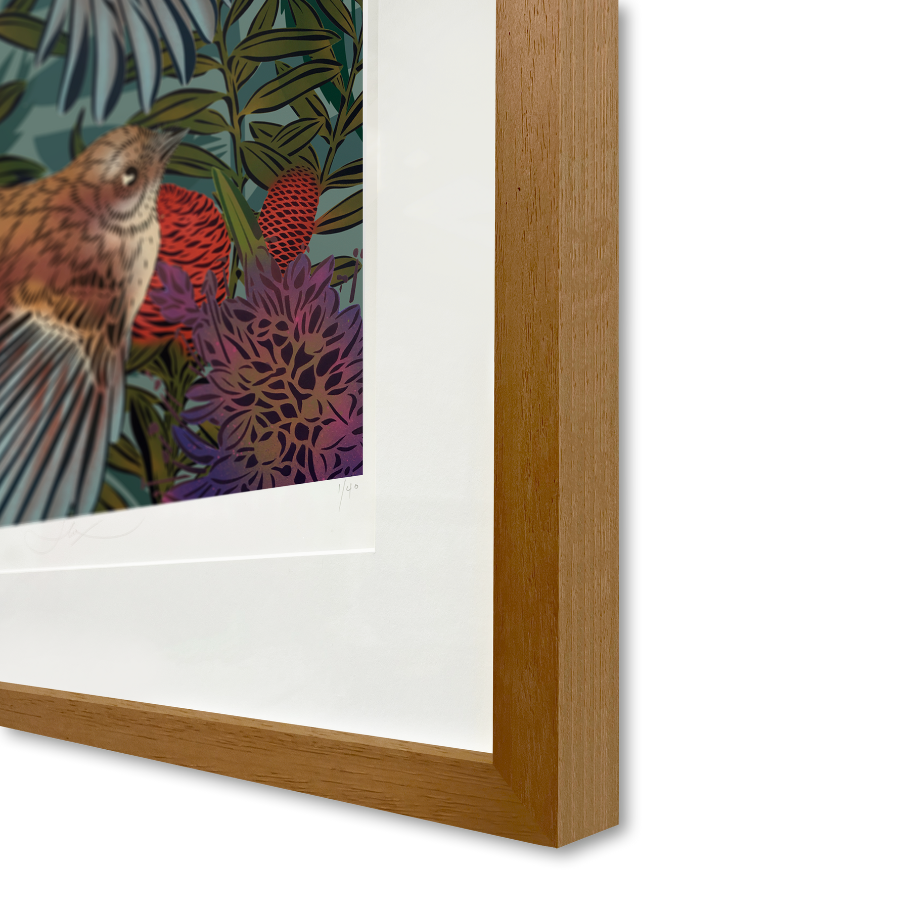 Flying Fantails Legacy Print