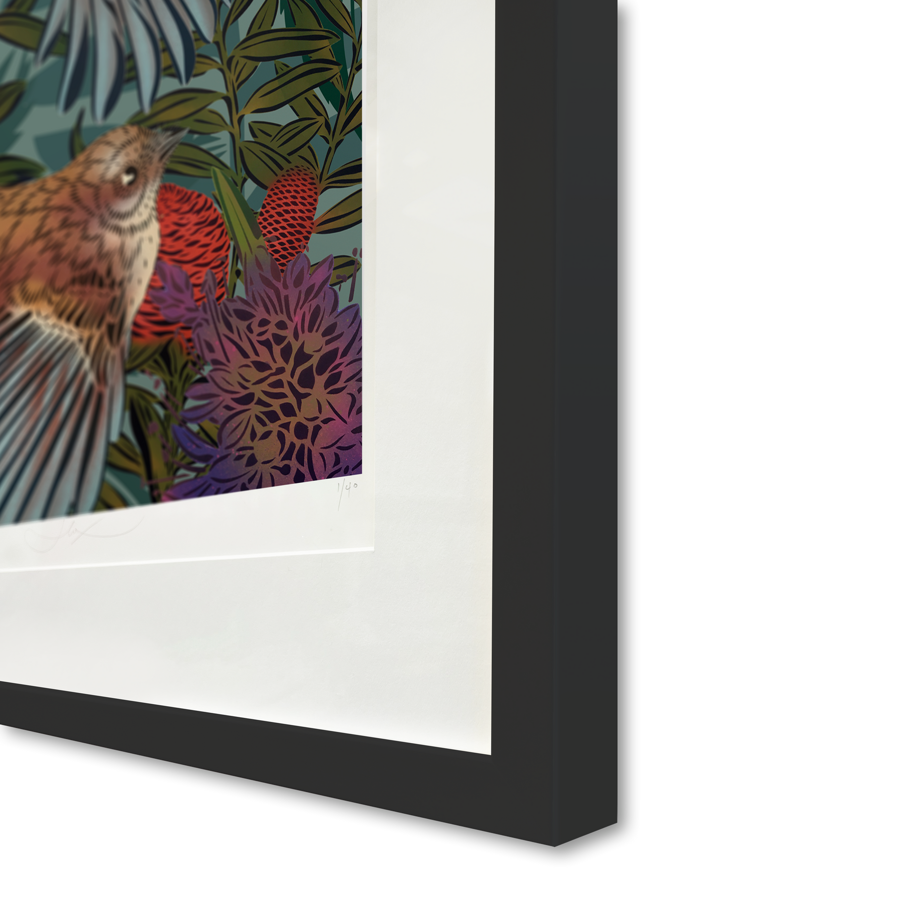 Flying Fantails Legacy Print