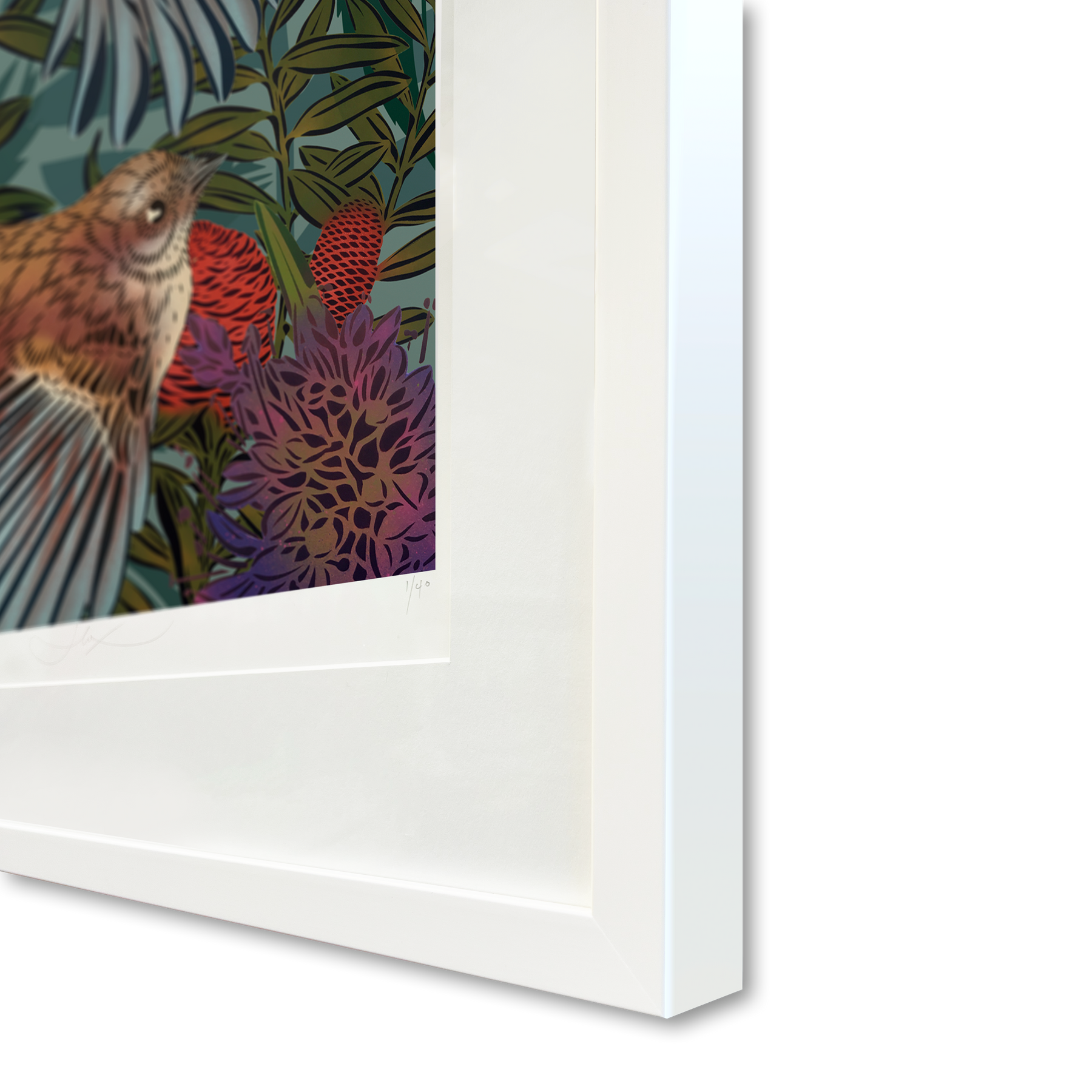 Flying Fantails Legacy Print