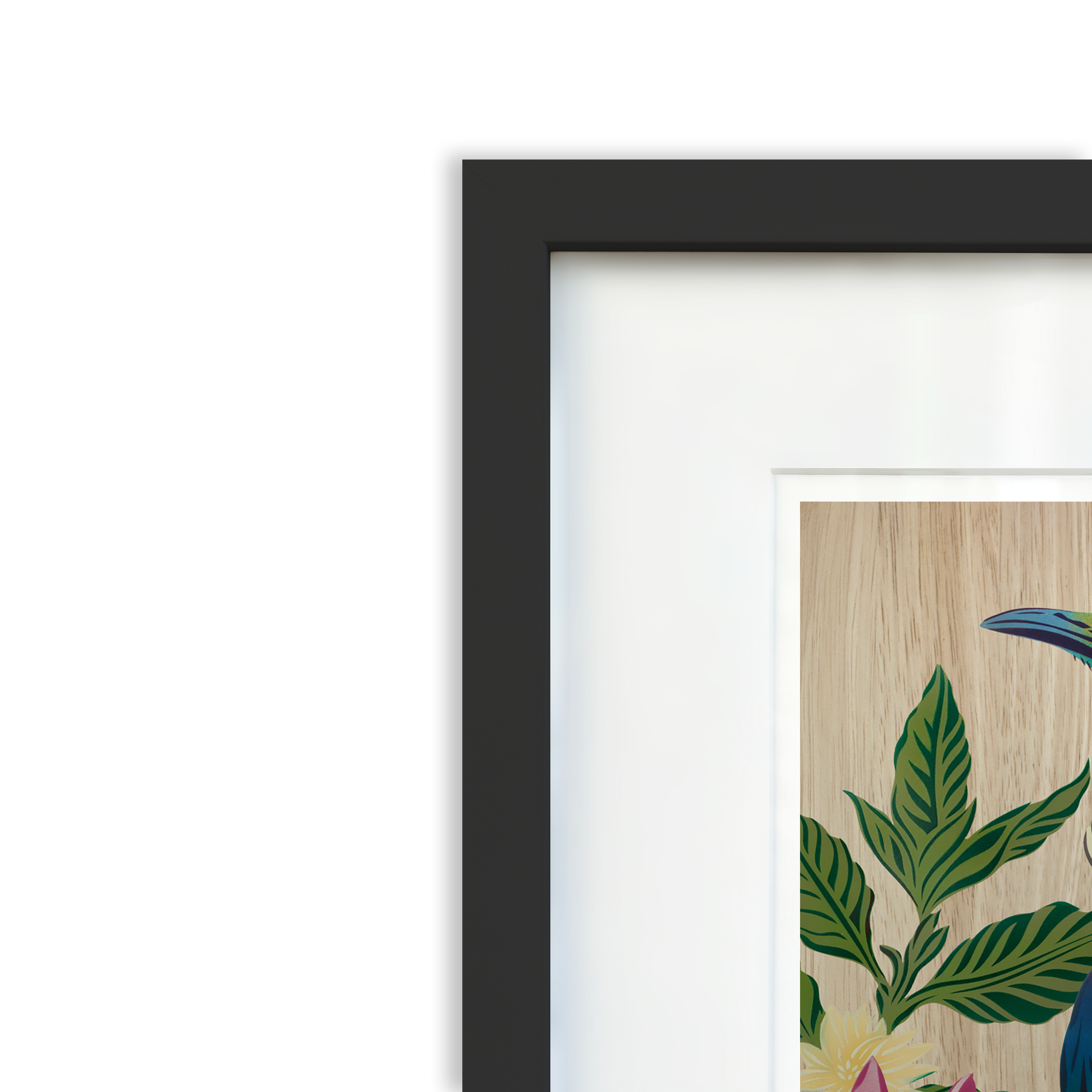 Tūī & Frangipani Legacy Print