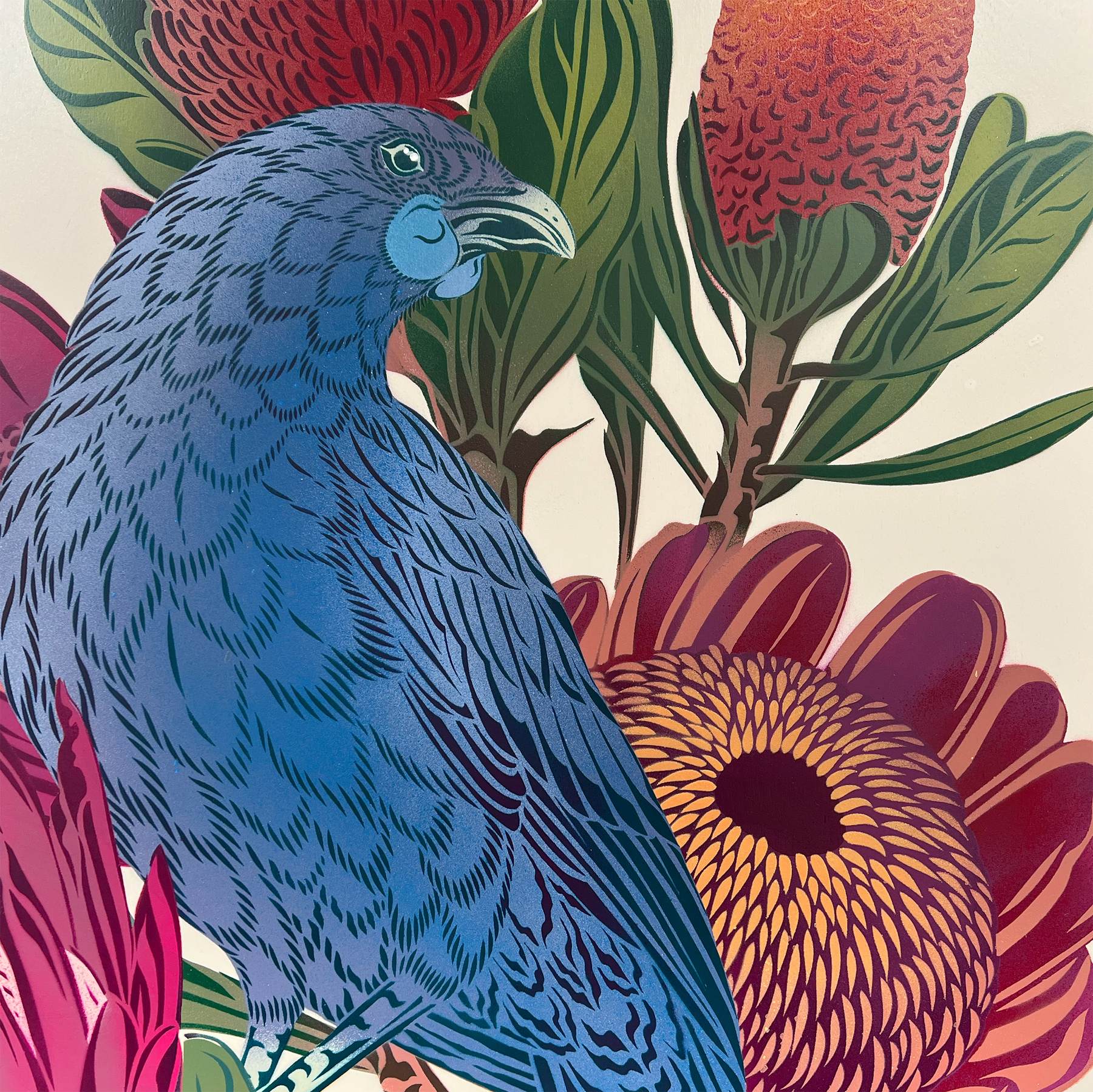 Antipodes Tūī & Kōkako 1.2m