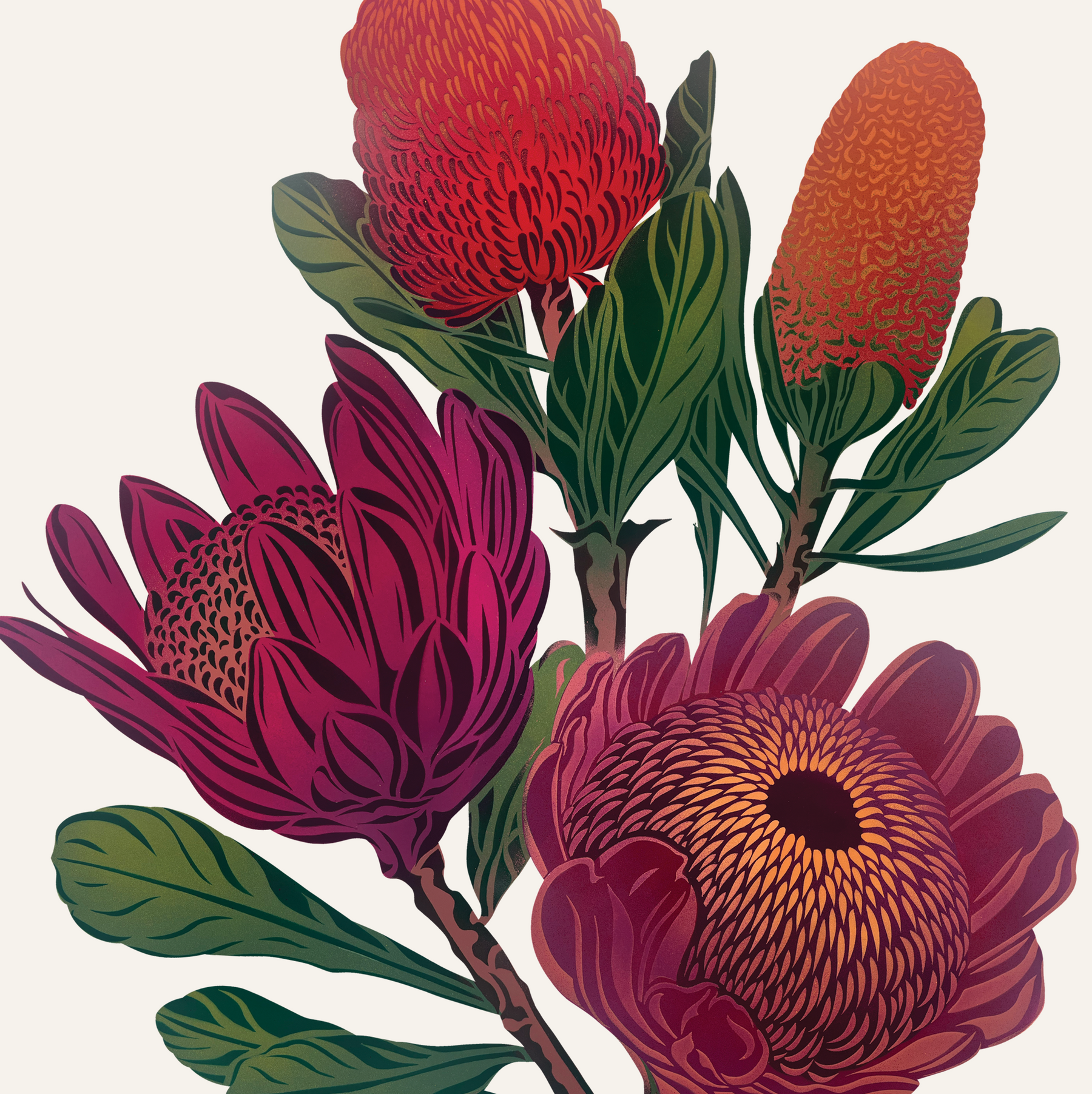 Antipodes Botanical - Banksia