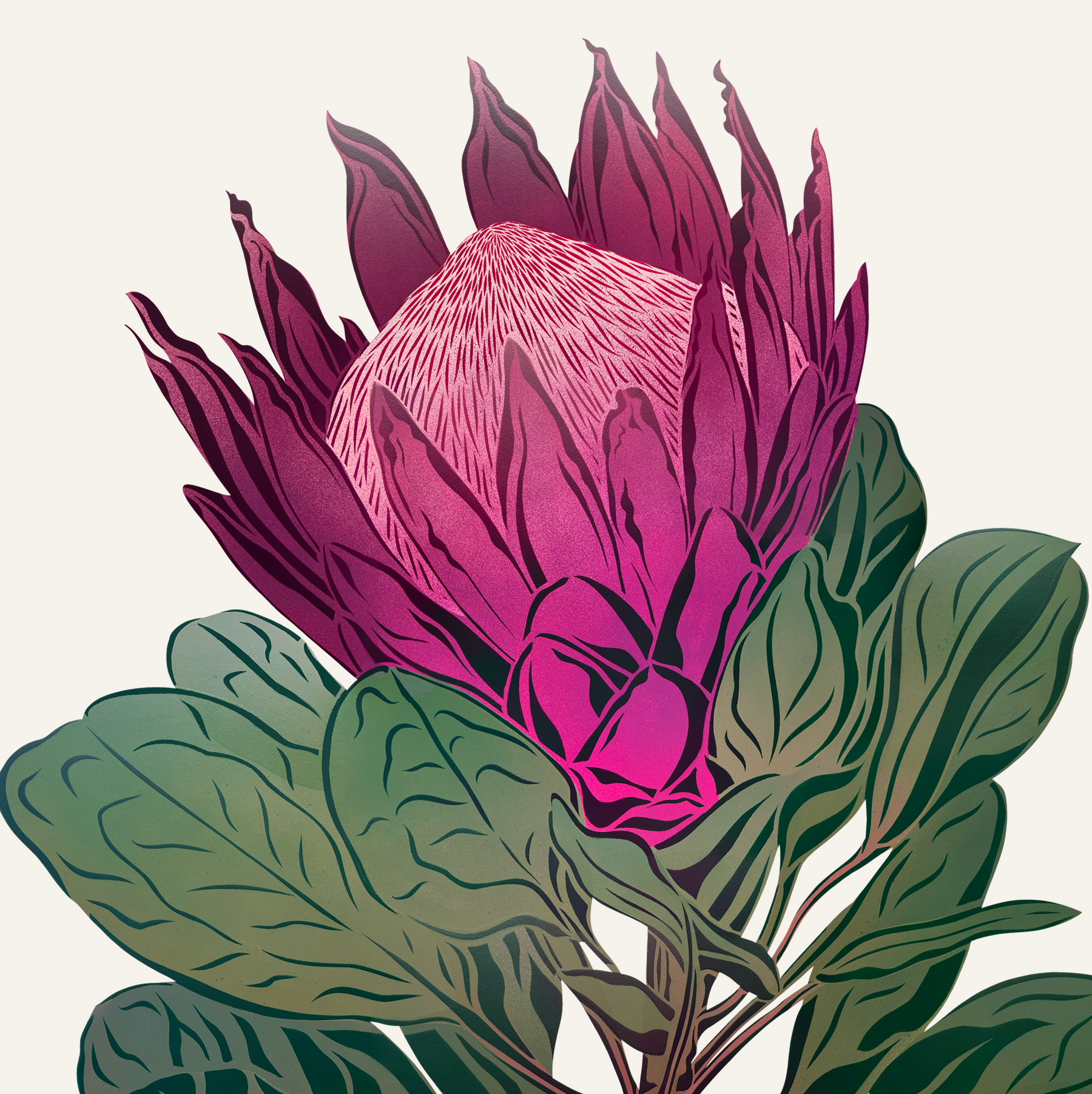 Antipodes Botanical - King Protea