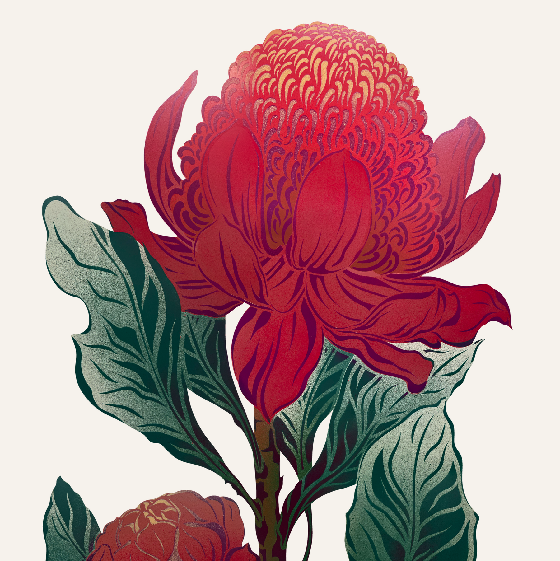 Antipodes Botanical - Waratah
