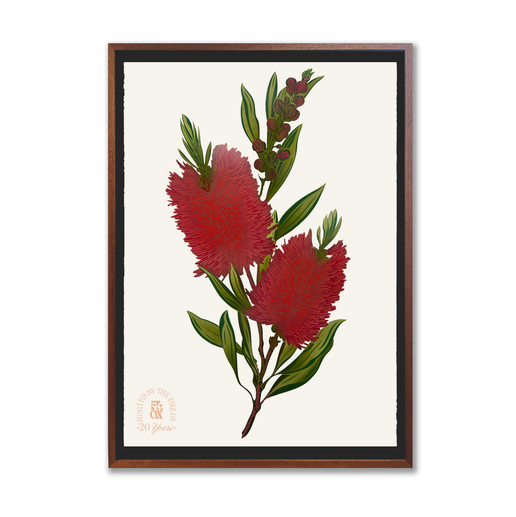 Antipodes Botanical - Bottlebrush