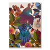 Prestige Lite: Kererū