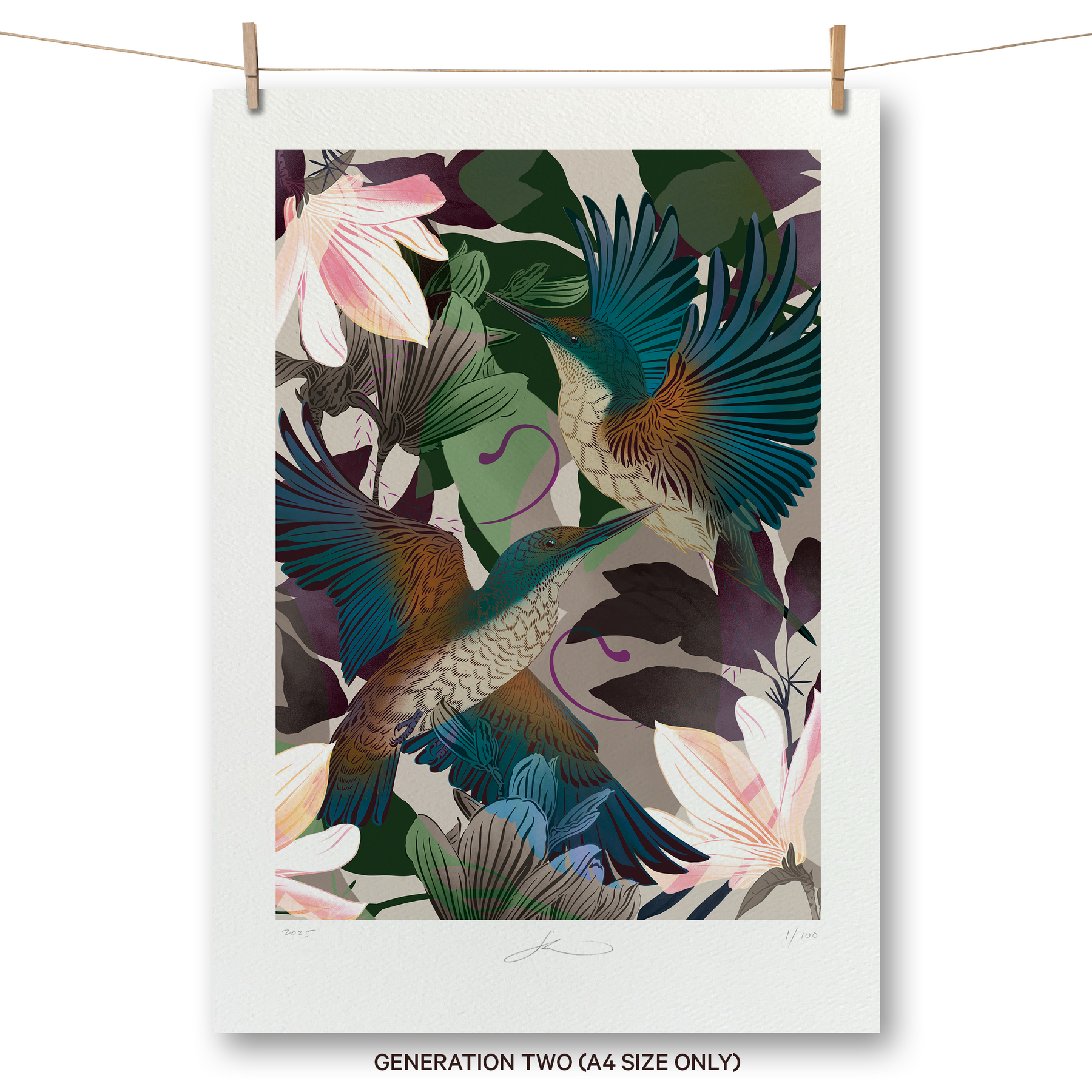 Evolution Kingfishers Boutique Print
