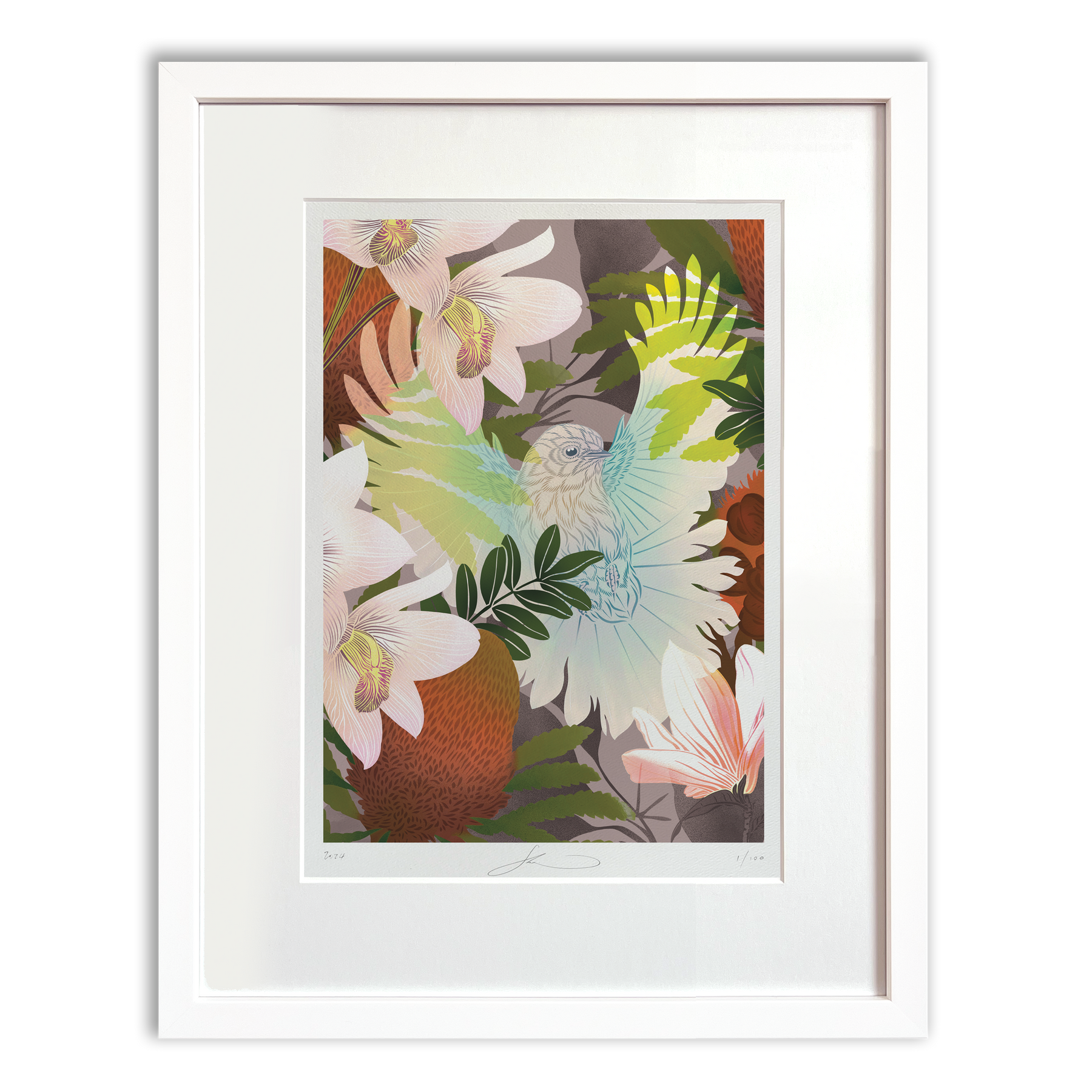 White Fantail & Banksia Boutique Print