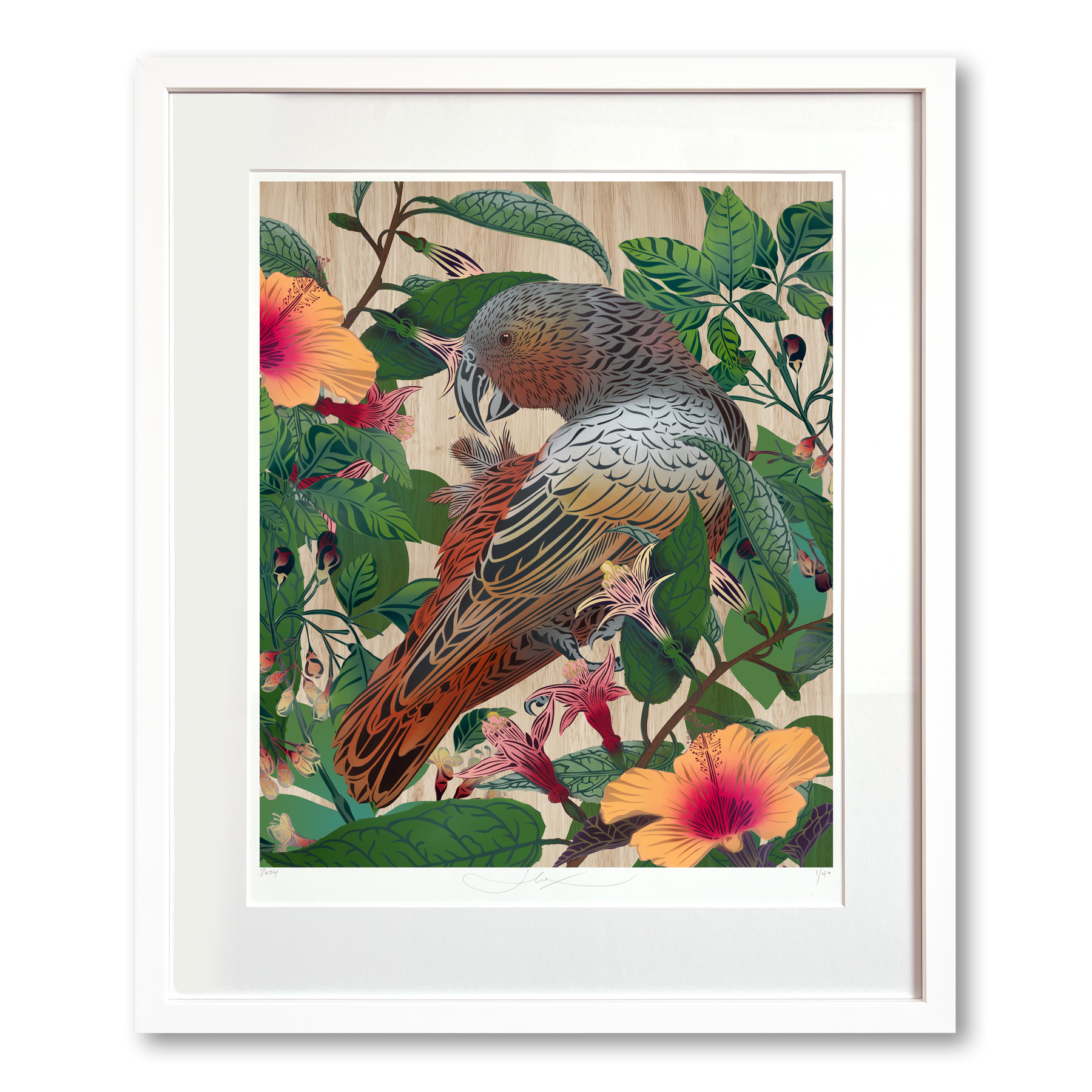 Kākā & Hibiscus Legacy Print