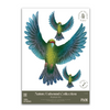 Kākāriki Decal
