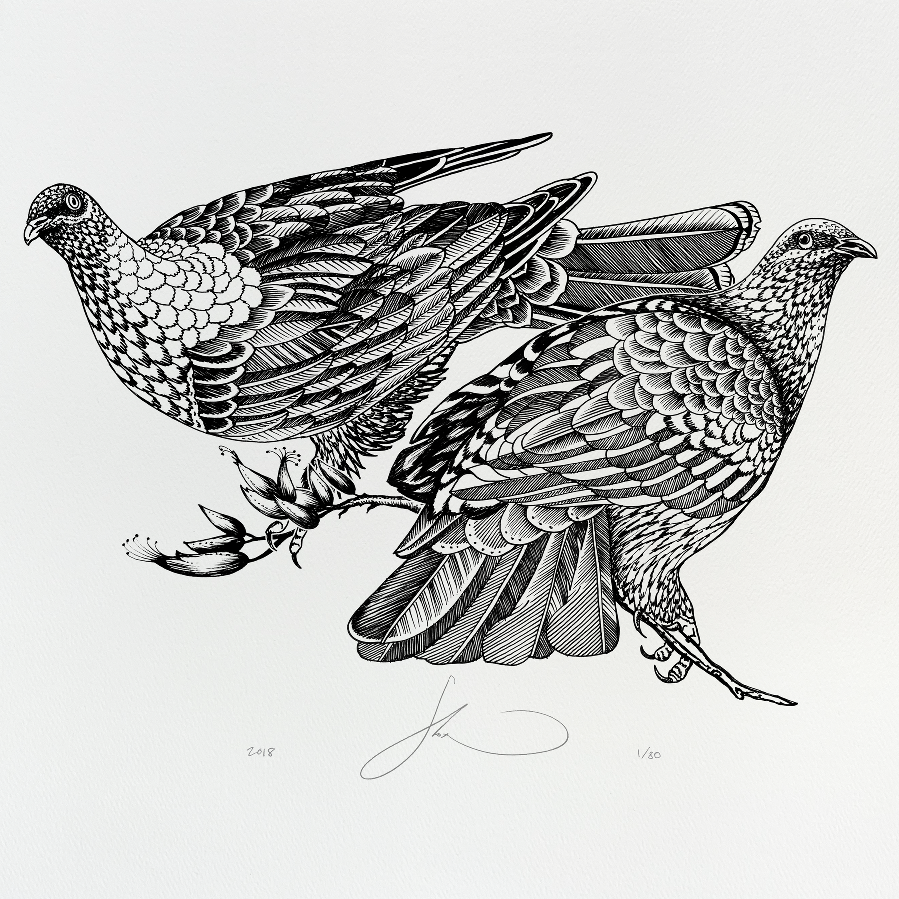 Monochrome Silk-Screen: Kererū