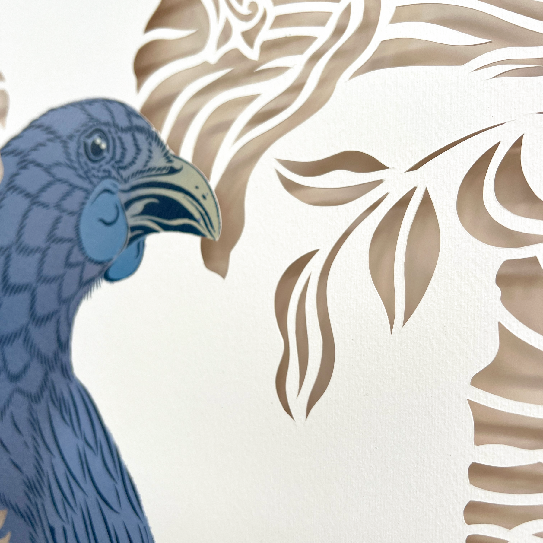 Antipodes Paint & Cut Kōkako