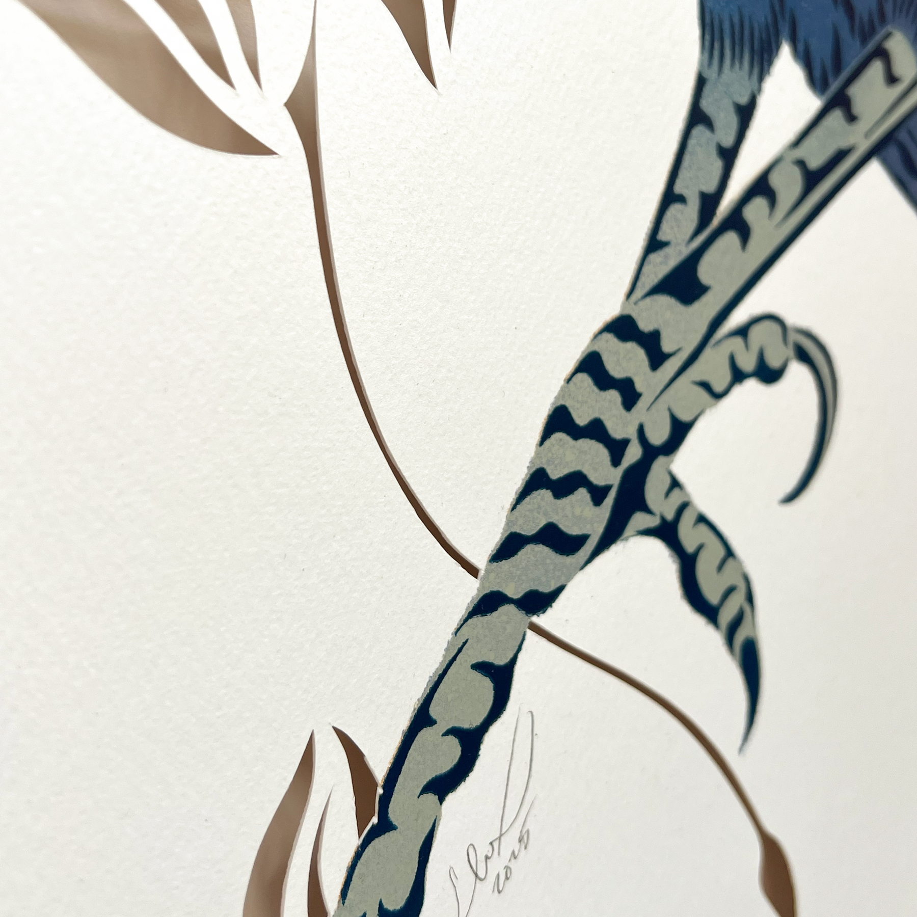 Antipodes Paint & Cut Kōkako