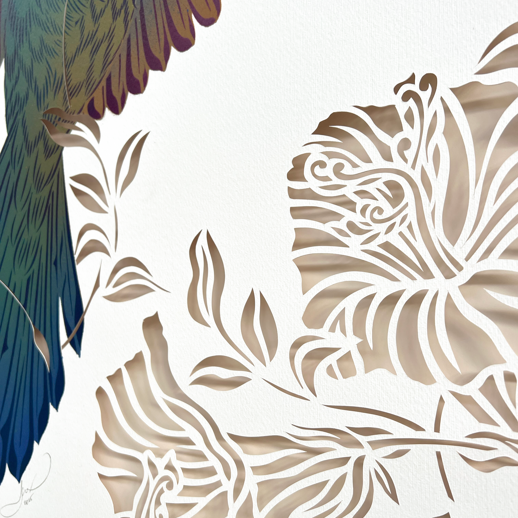 Antipodes Paint & Cut Tūī