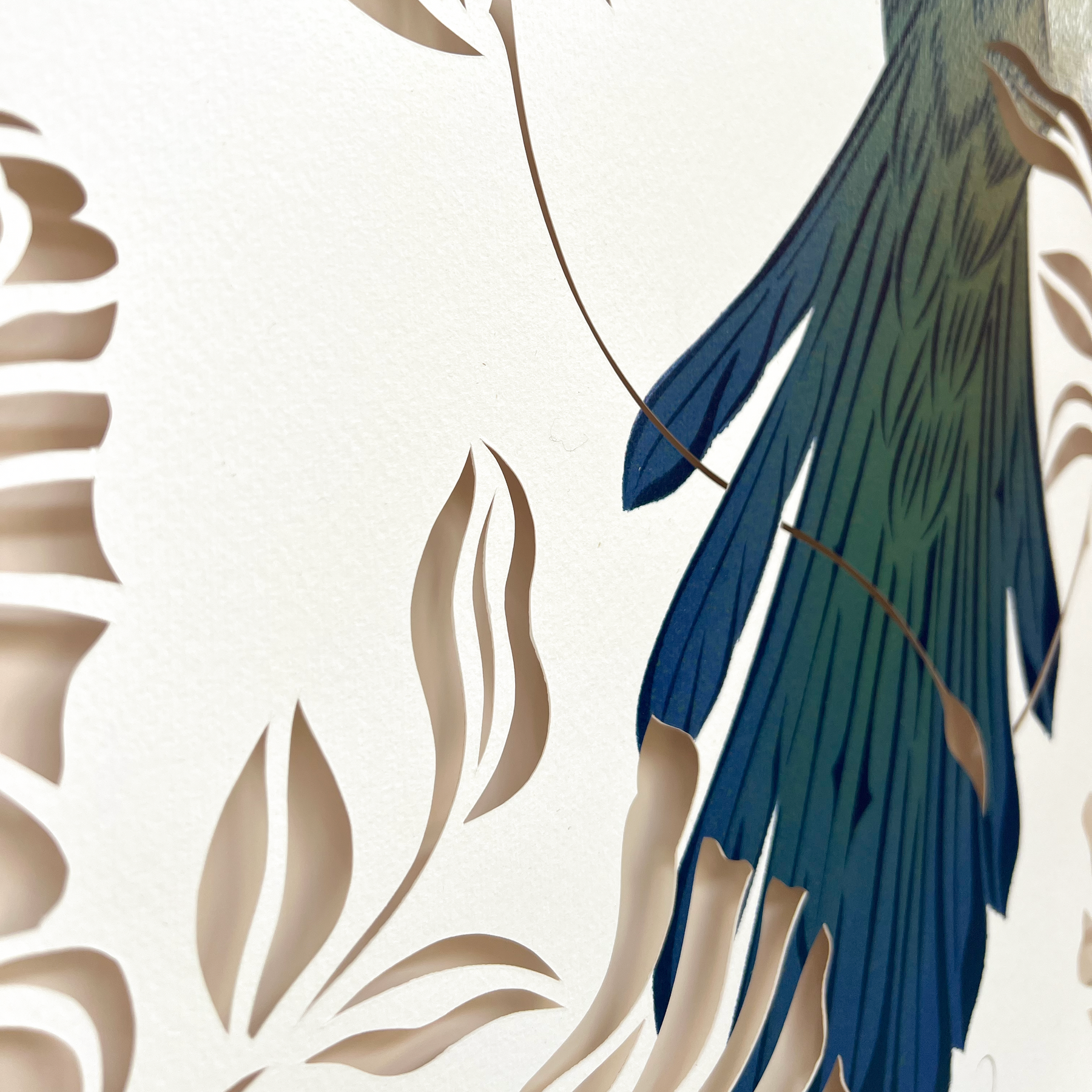 Antipodes Paint & Cut Tūī