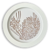 Antipodes Portal: Bottlebrush