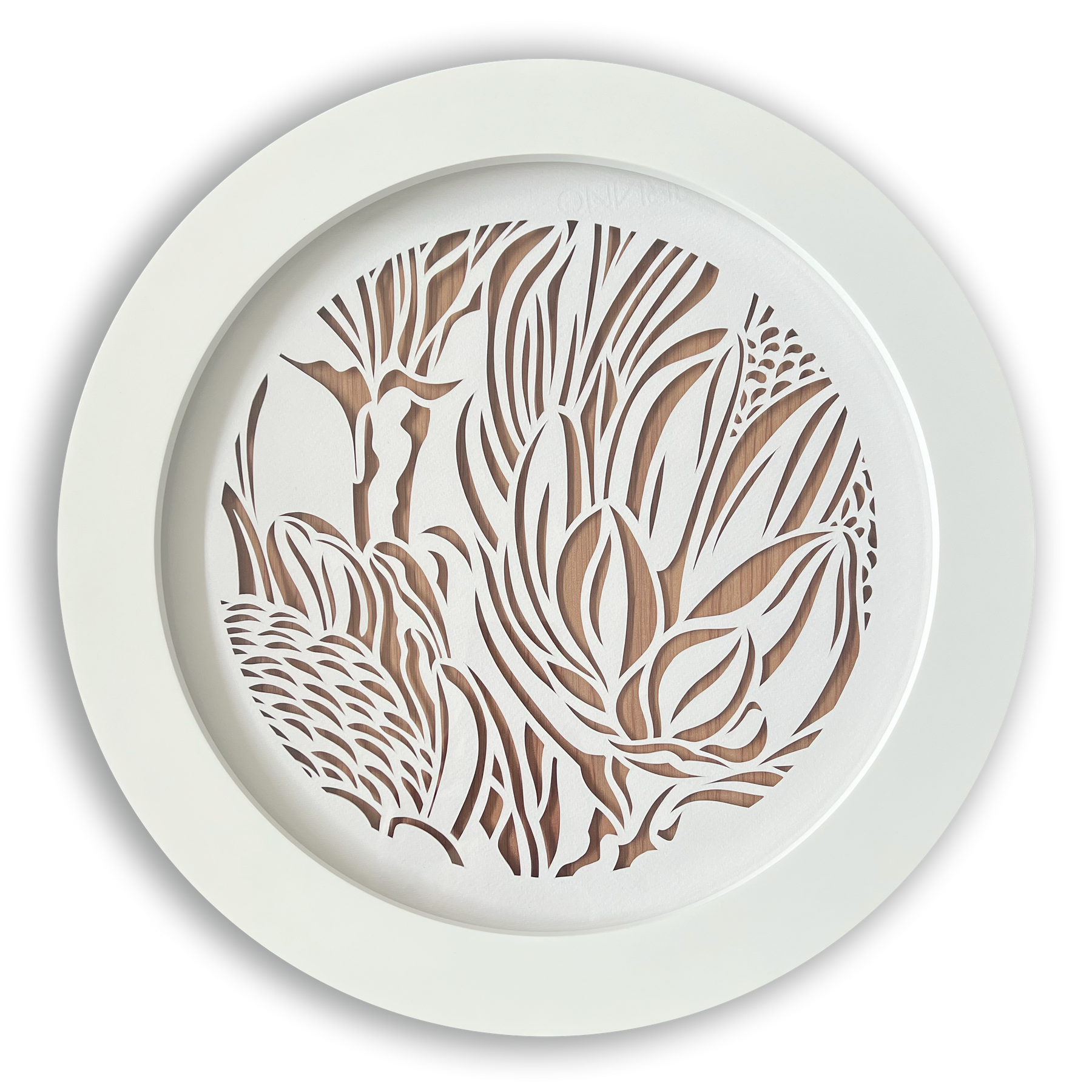 Antipodes Portal: Protea