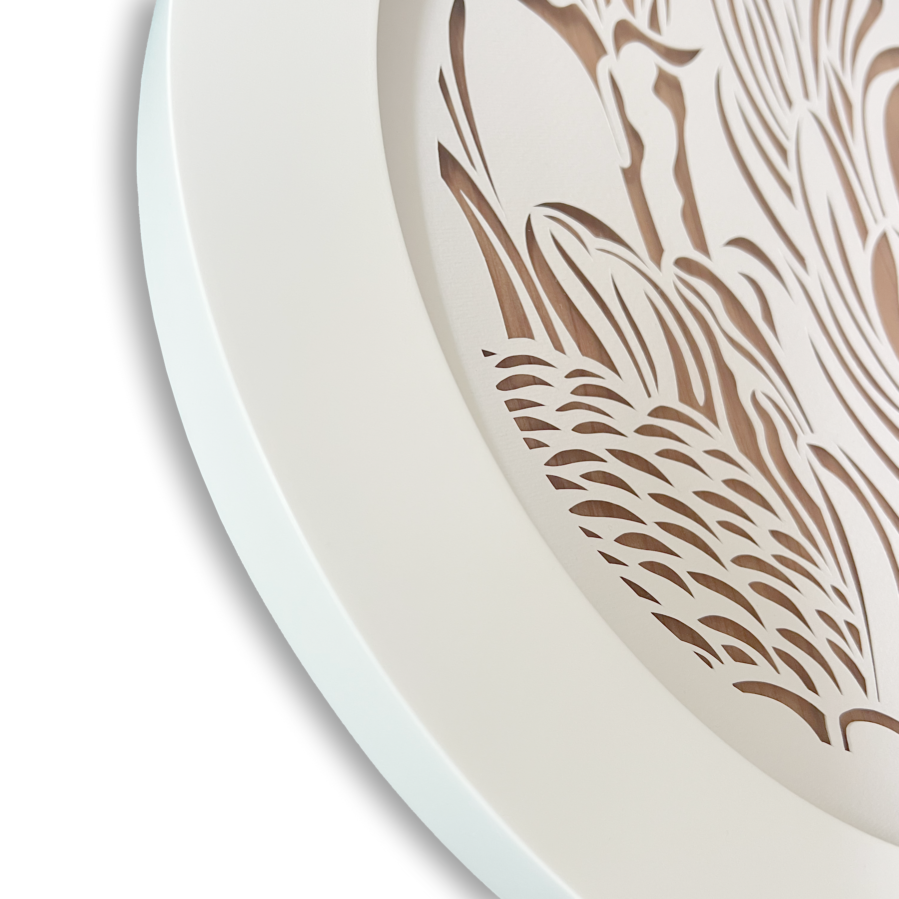 Antipodes Portal: Protea