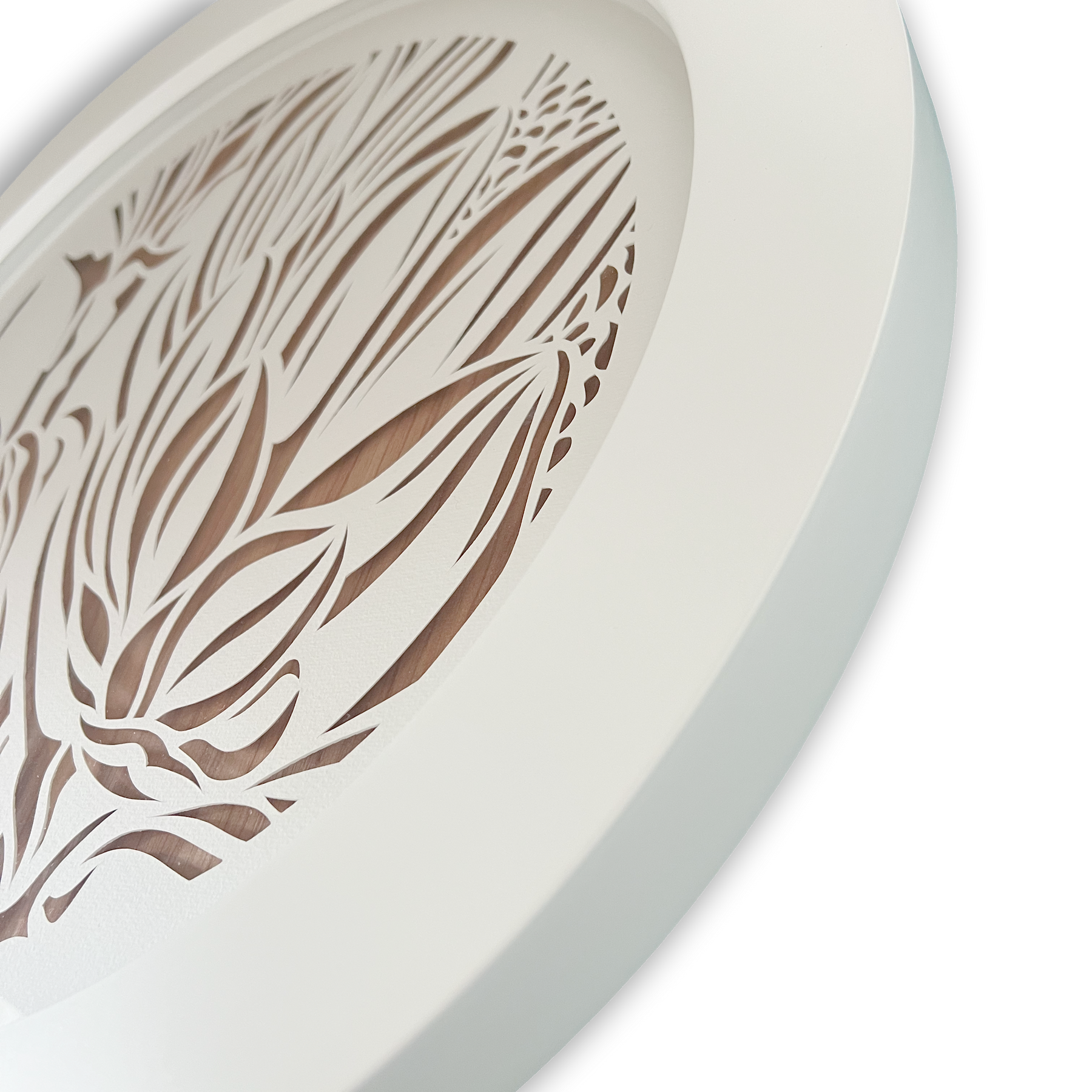 Antipodes Portal: Protea
