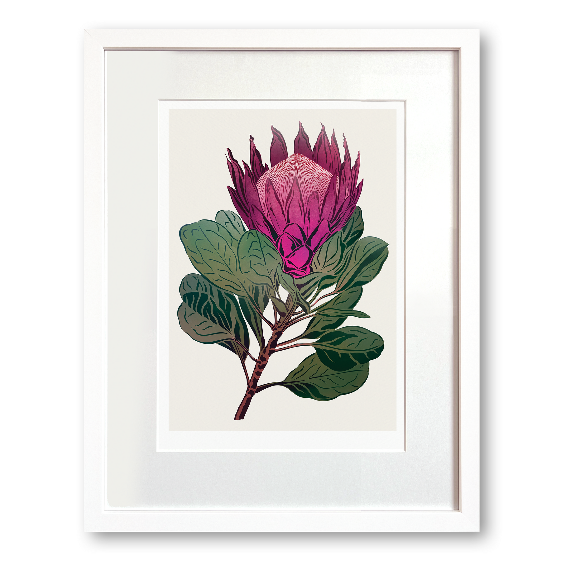 King Protea Antipodes Botanical – A Timed Release