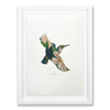 Stencil Lily: Kingfisher