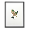 Stencil Lily: Kōkako