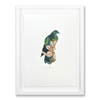 Stencil Lily: Kererū