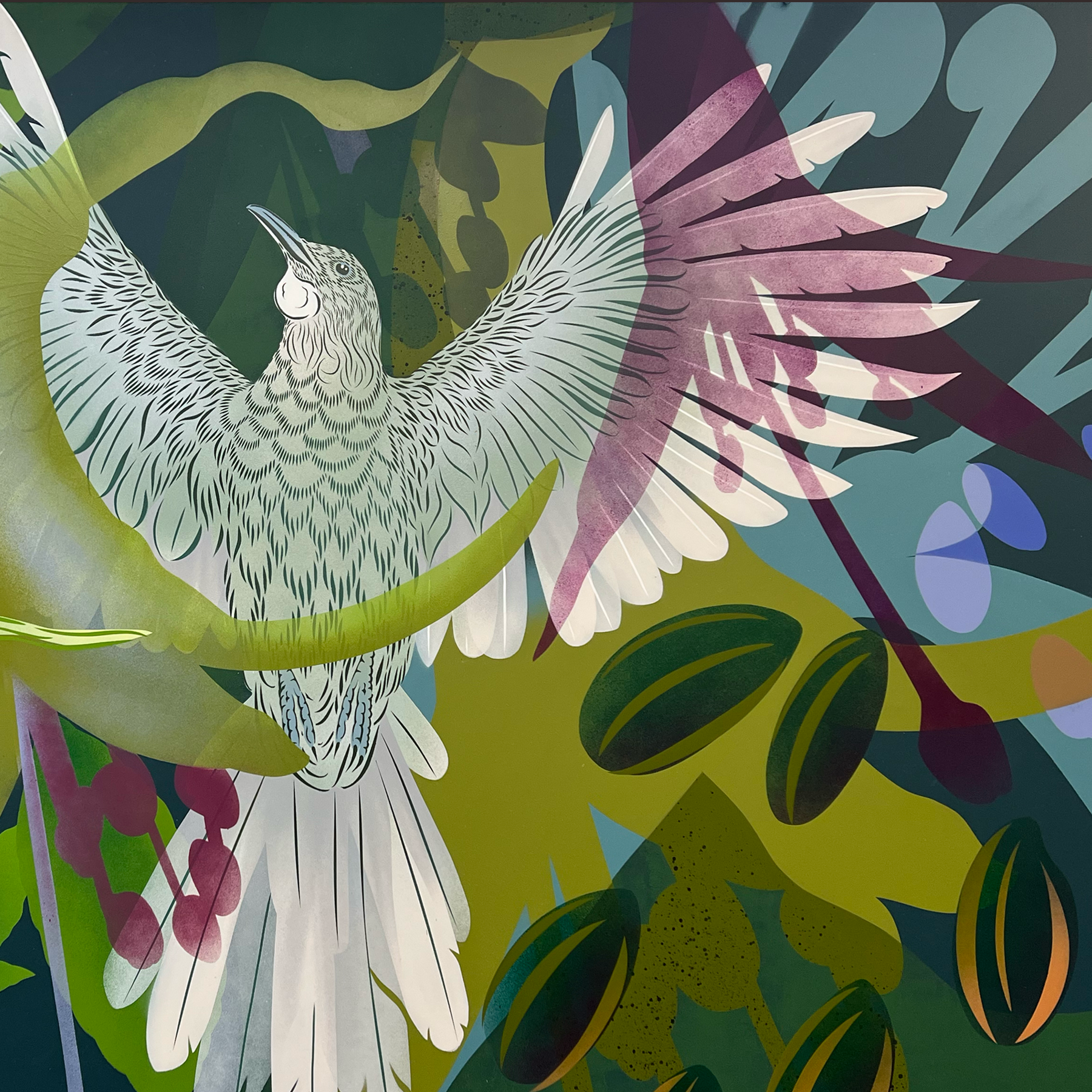Prestige Luxe: Tūī & Kōtukutuku