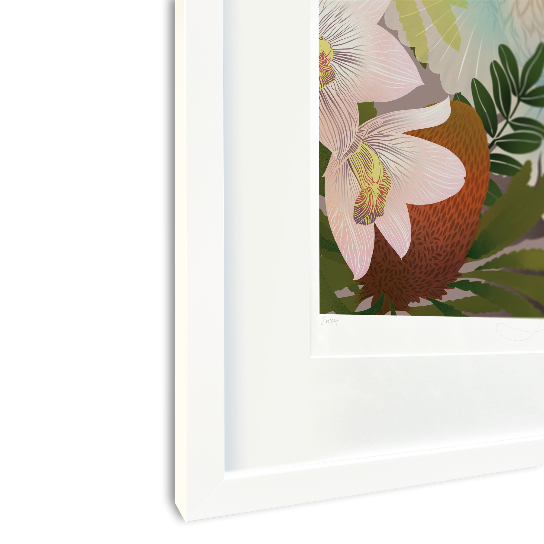 White Fantail & Banksia Premium Digital