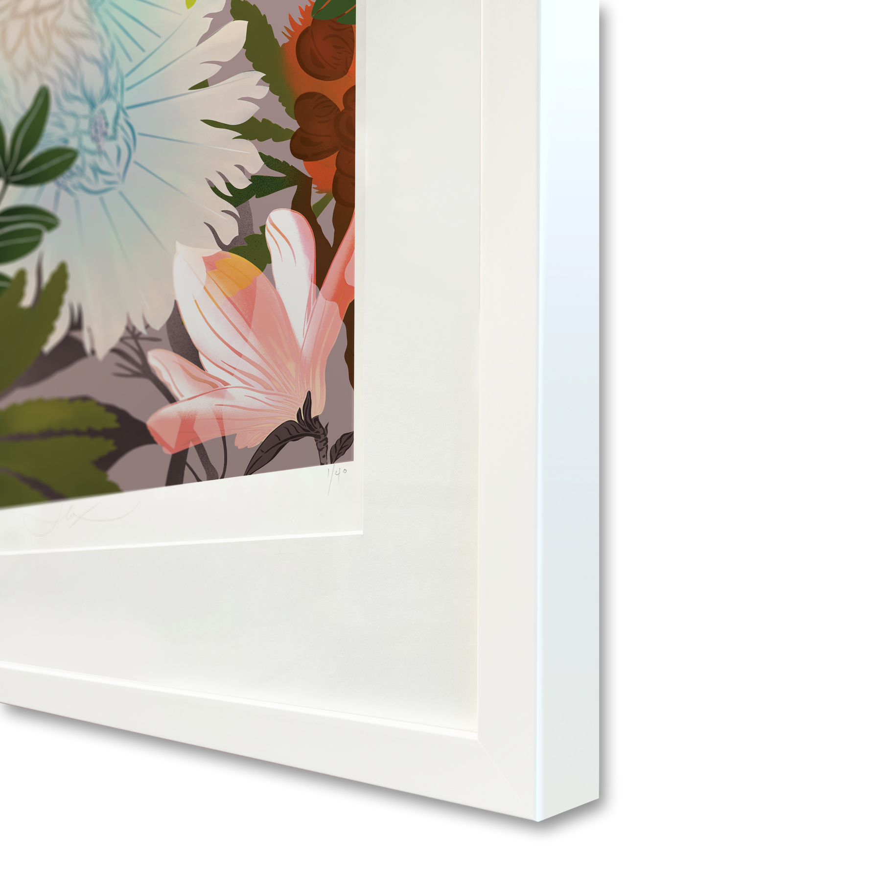 White Fantail & Banksia Premium Digital