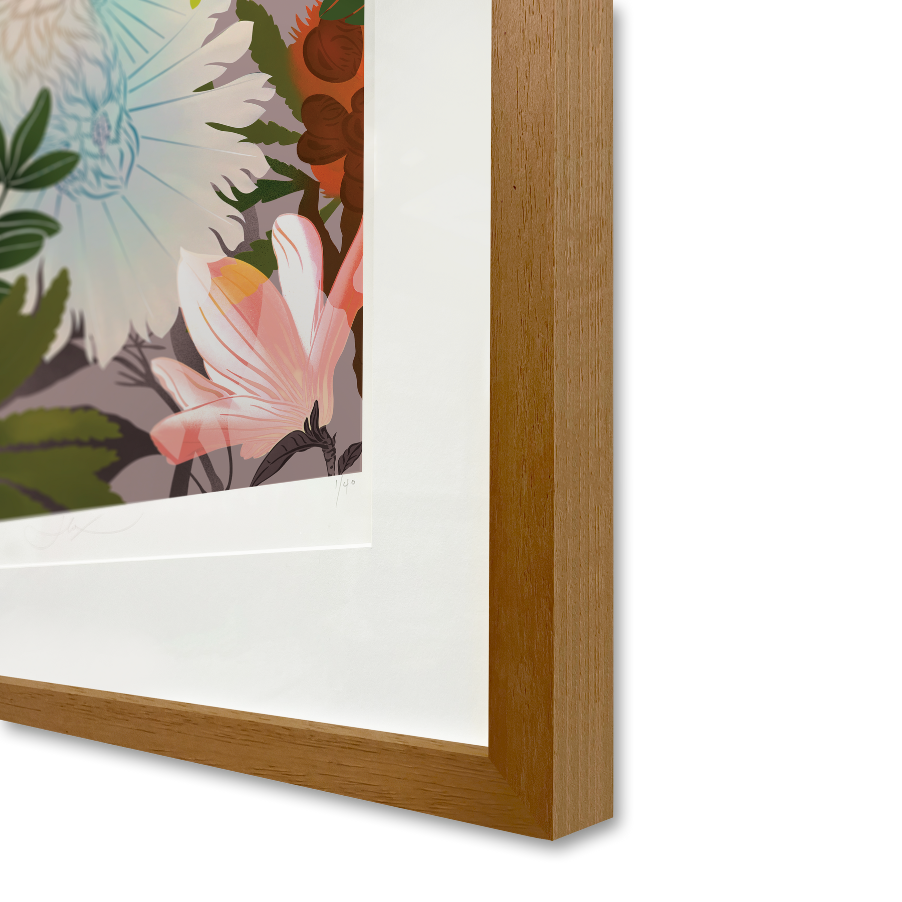 White Fantail & Banksia Premium Digital