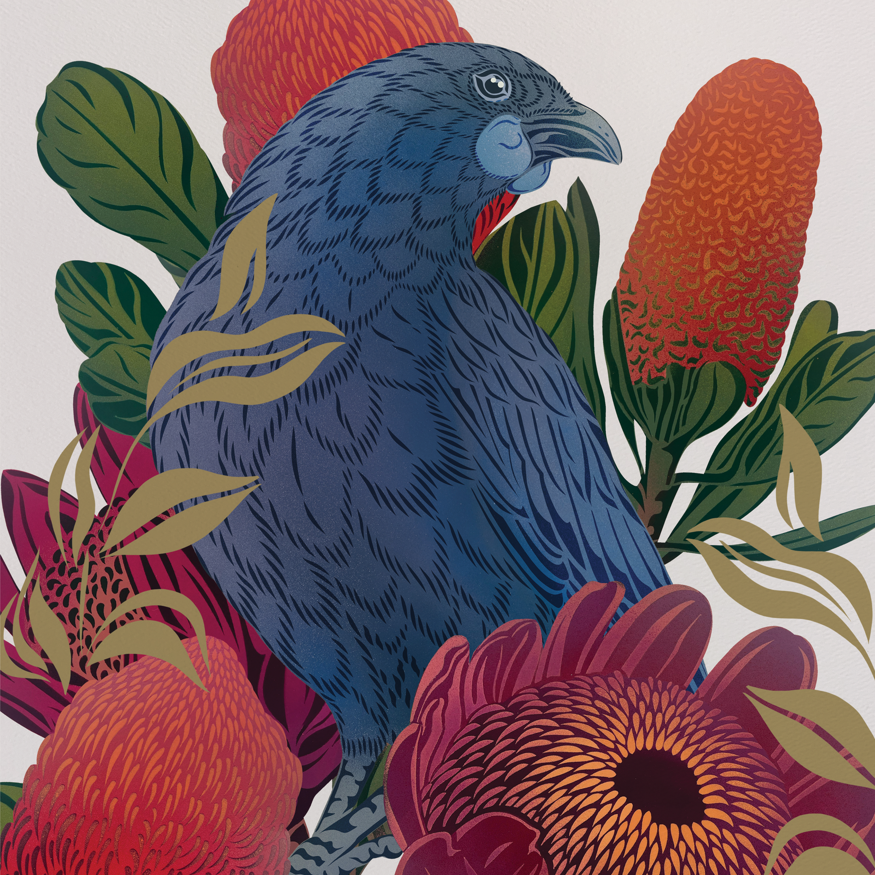 Antipodes Kōkako & Banksia Boutique Print