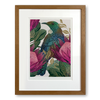 Antipodes Tūī & King Protea Boutique Print