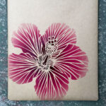 GIFT WRAPPING - HIBISCUS