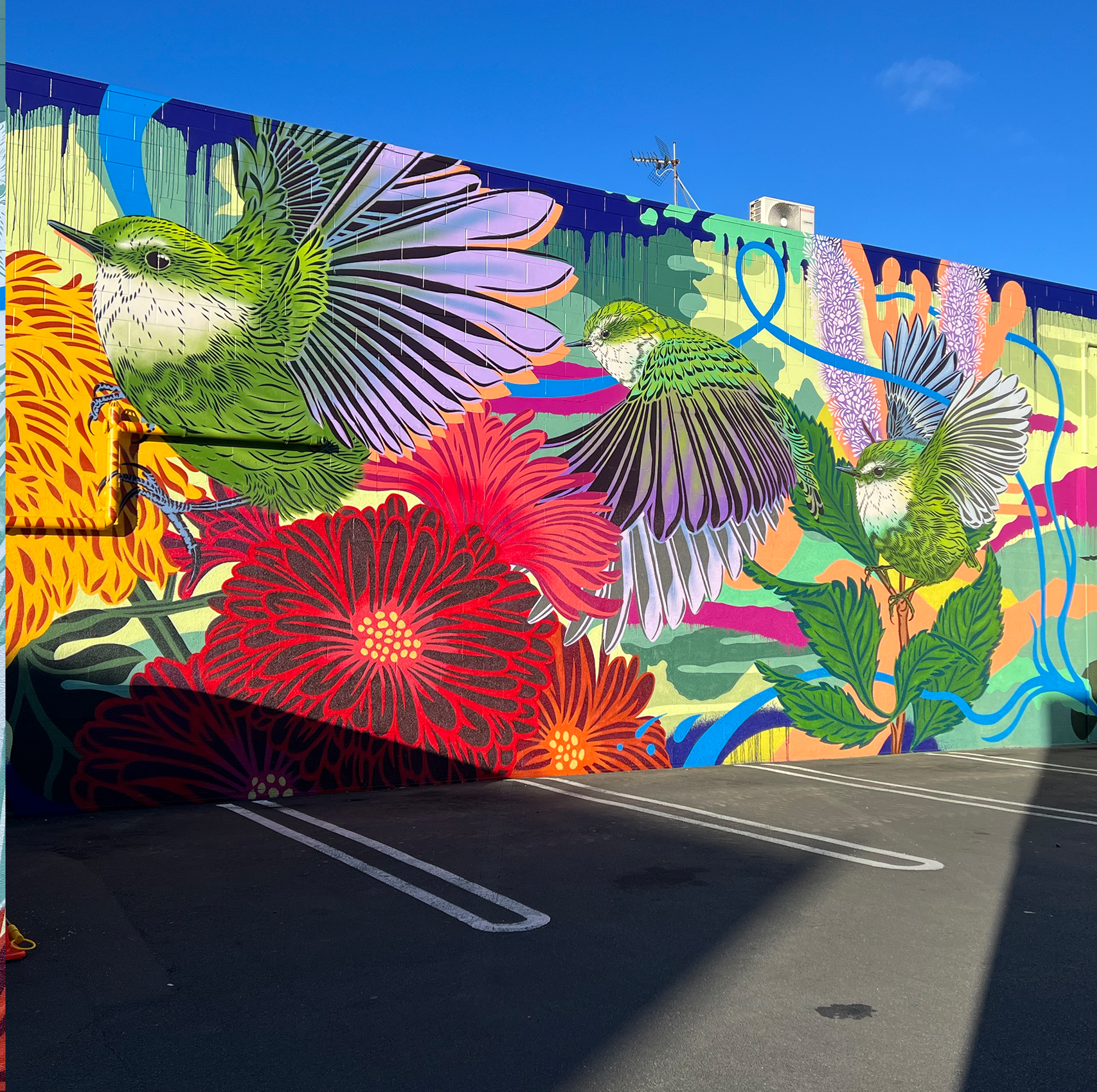 Dunedin Street Art Trail